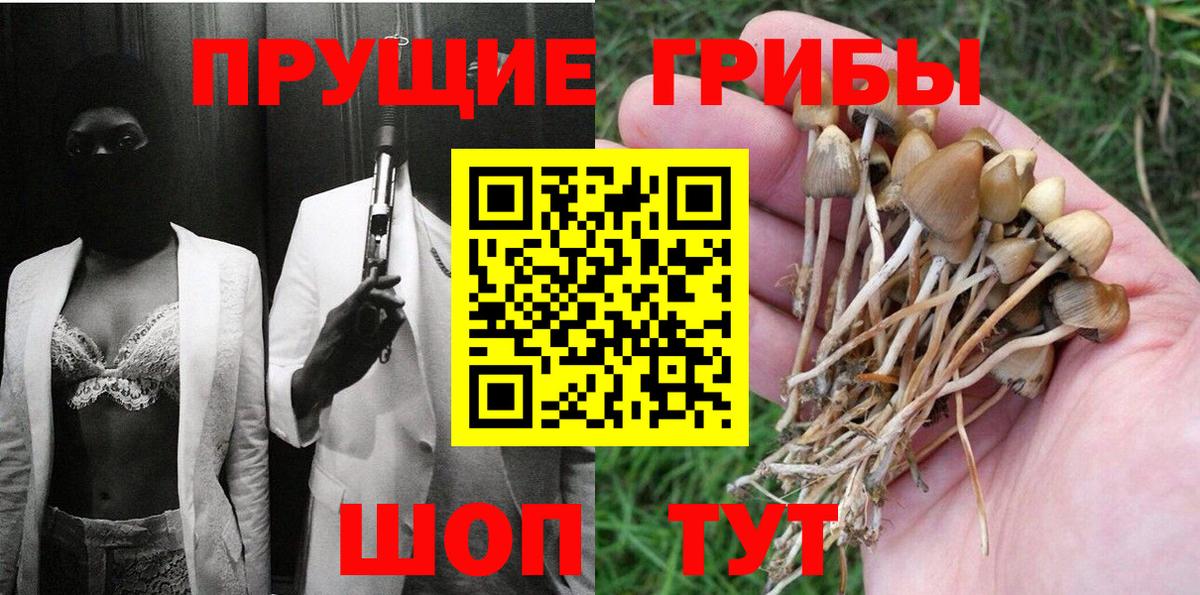 Псилоцибиновые грибы Cubensis  Псилоцибиновые грибы мухоморы  Вход с VPN  Чапаевск 