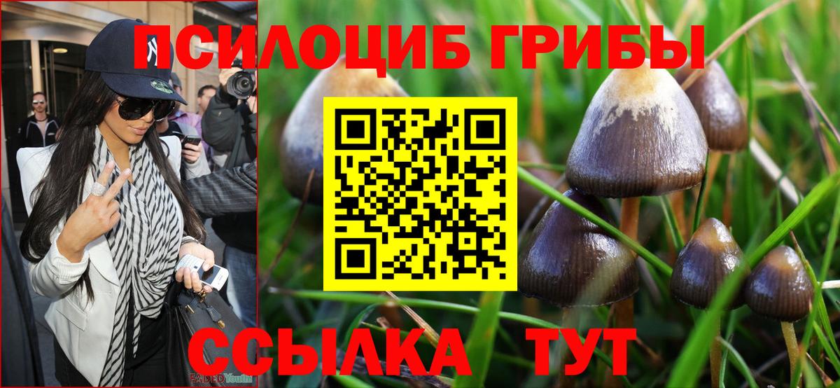 Галлюциногенные грибы ЛСД Чапаевск